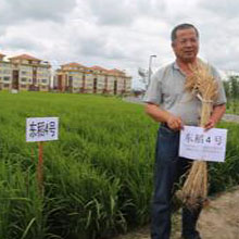 杨福