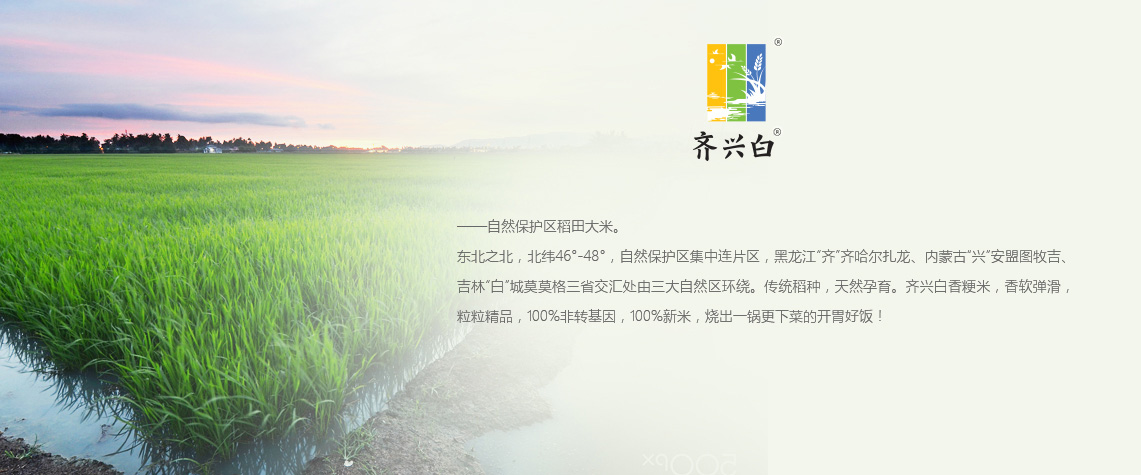 齐兴白