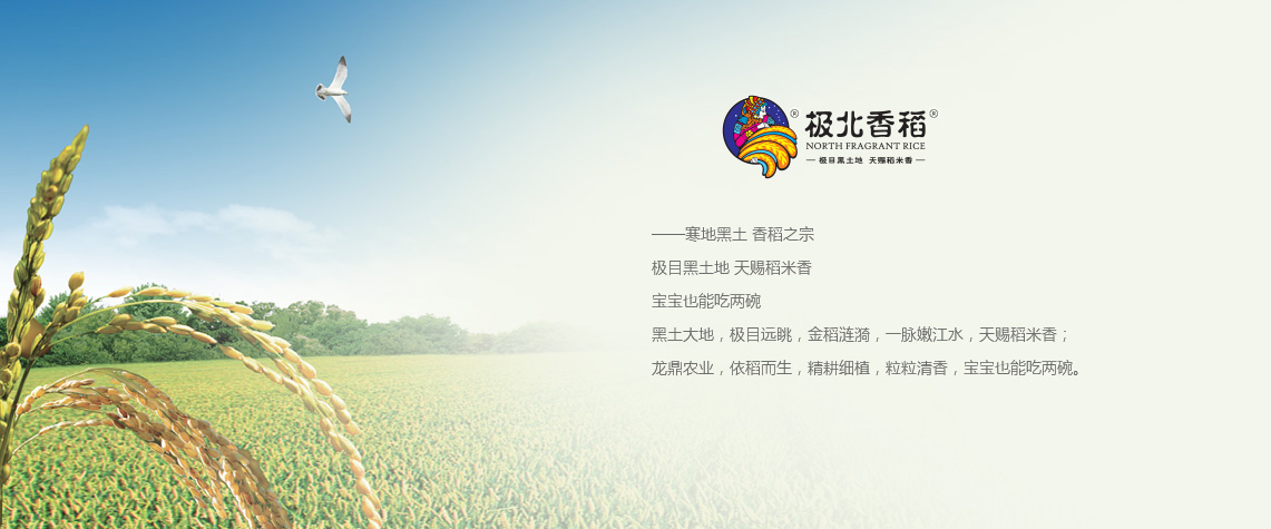 极北香稻