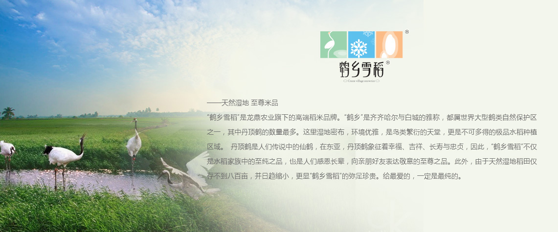 鹤乡雪稻
