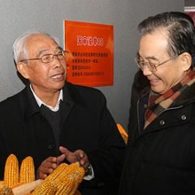 吴景锋